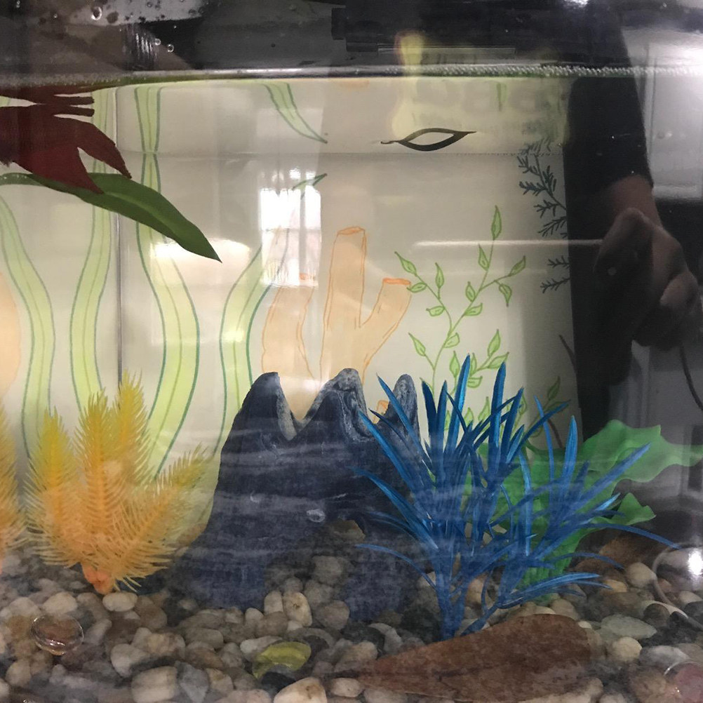 ตู้ปลา ตู้เลี้ยงปลา ใบไม้ประดิ - Planted Aquarium Materials บทวิจารณ์และราคา