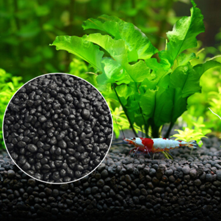 พิพิธภัณฑ์สัตว์น้ำเมล็ดพืชดิน  - Aquarium Planted Fish Tank บทวิจารณ์และราคา