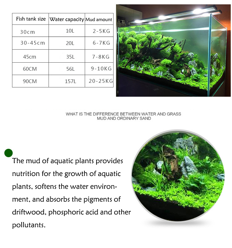 พิพิธภัณฑ์สัตว์น้ำเมล็ดพืชดิน  - Aquarium Planted Fish Tank บทวิจารณ์และราคา