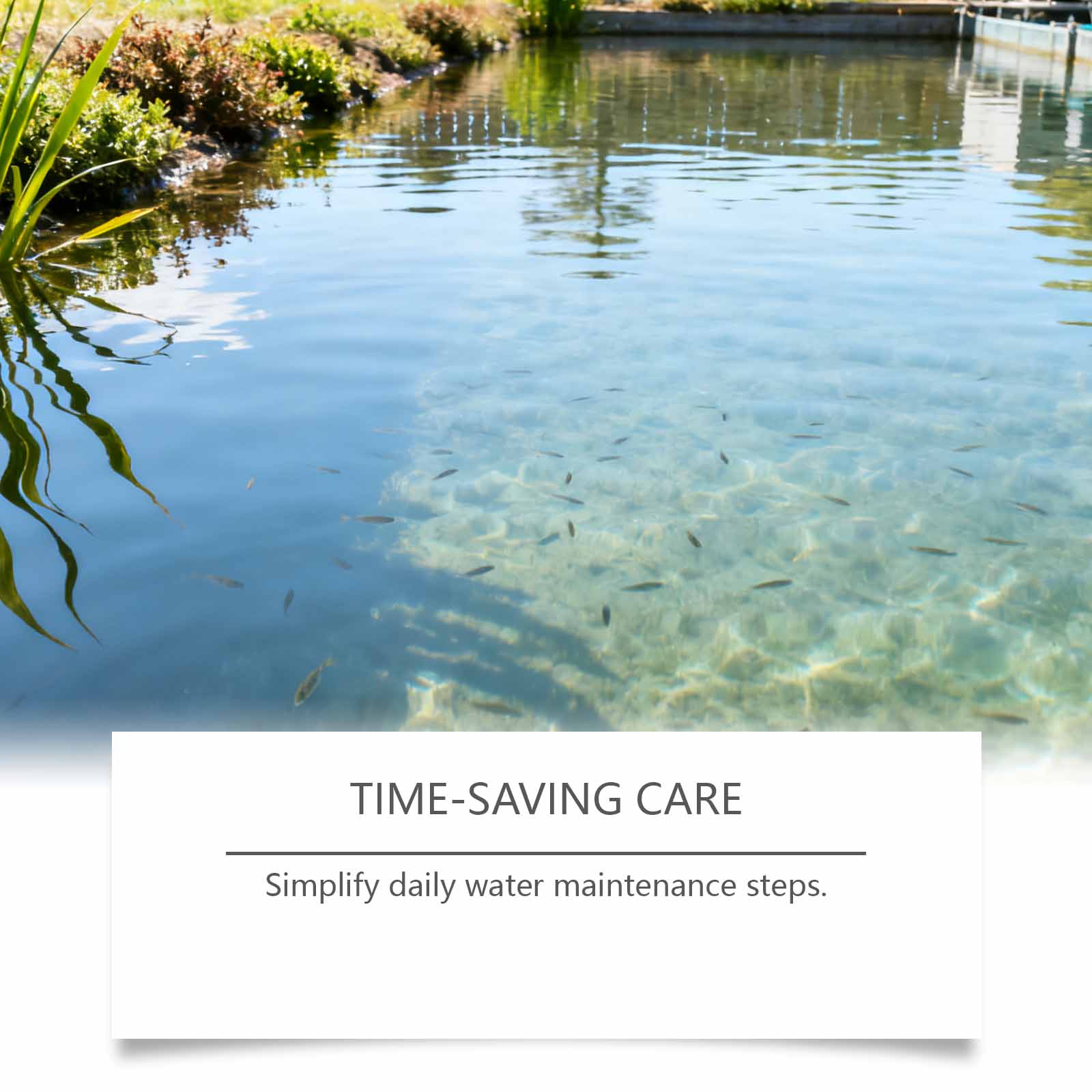 1/2/3/5PCS ผงปรับสภาพน้ำสำหรับ - Planted Aquarium Care บทวิจารณ์และราคา