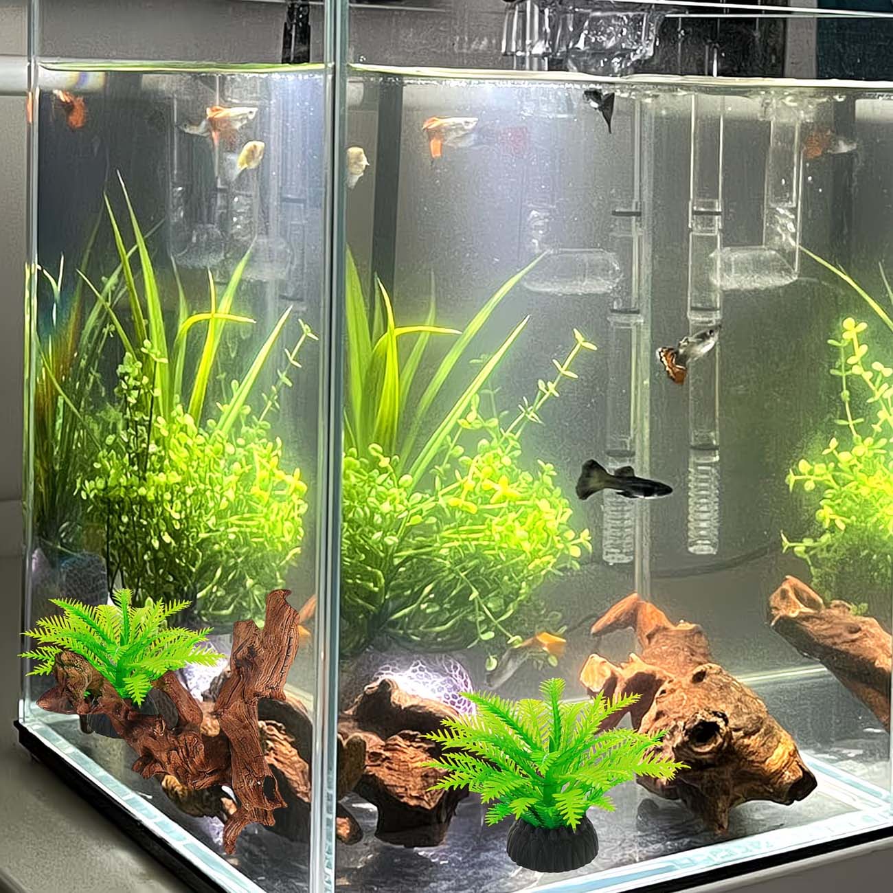 ไม้ลอยน้ำธรรมชาติขนาด 5-10 ซม. - Aquarium Planted Wood บทวิจารณ์และราคา