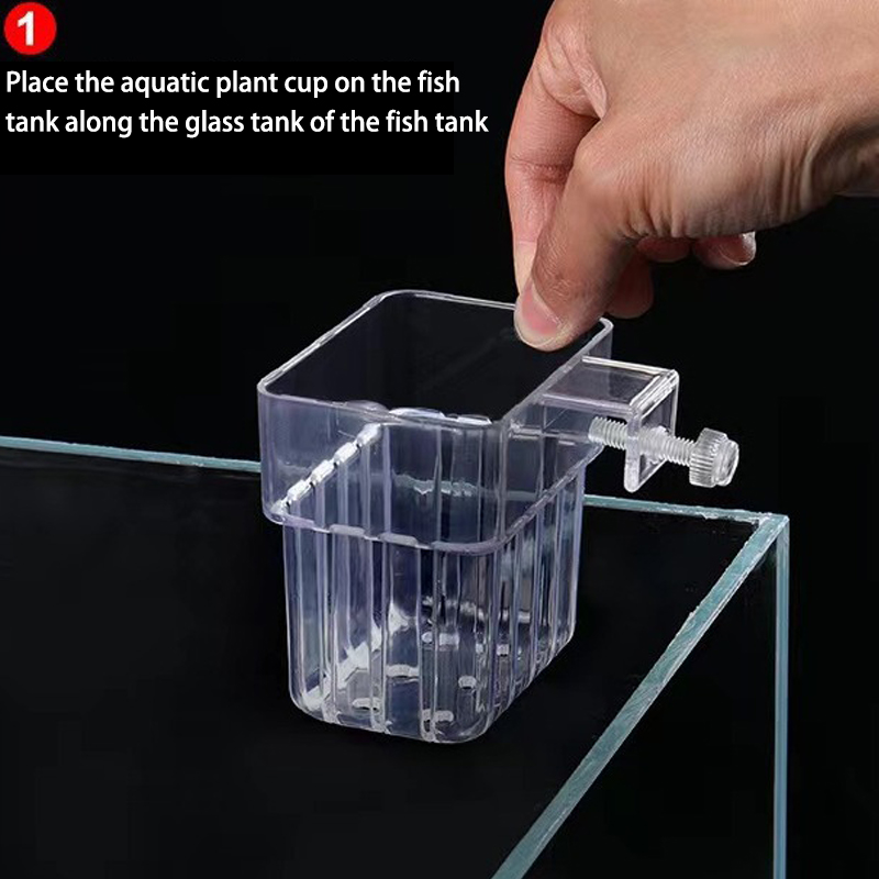 ถ้วยปลูกหญ้าน้ำพิพิธภัณฑ์สัตว์ - Aquarium Planted Fish Tank บทวิจารณ์และราคา