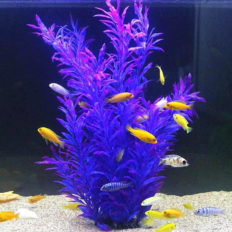 50 ซม.ถังปลาประดิษฐ์พืชหายากAq - Aquarium Planted Fish Tank บทวิจารณ์และราคา