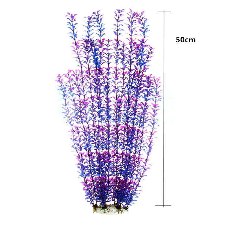 50 ซม.ถังปลาประดิษฐ์พืชหายากAq - Aquarium Planted Fish Tank บทวิจารณ์และราคา