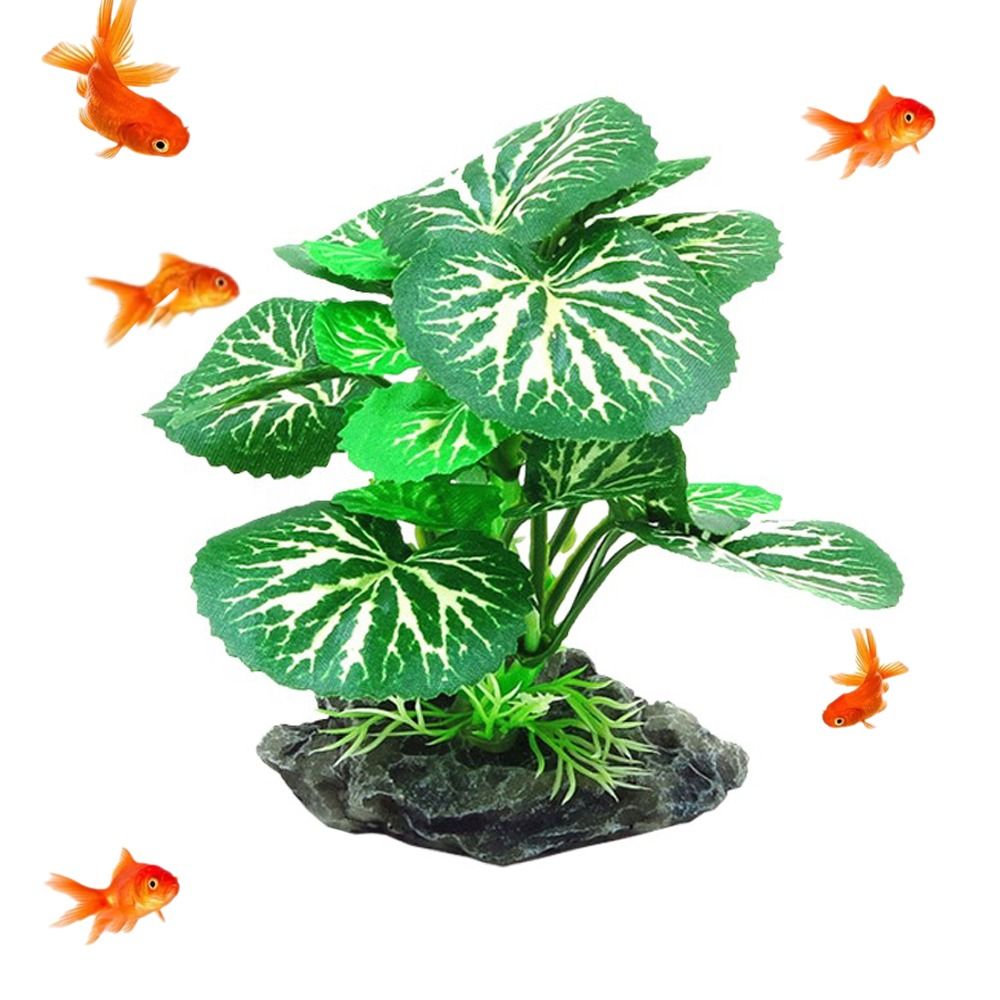 วัสดุพลาสติก ต้นไม้ประดับตู้ปล - Planted Aquarium Materials บทวิจารณ์และราคา