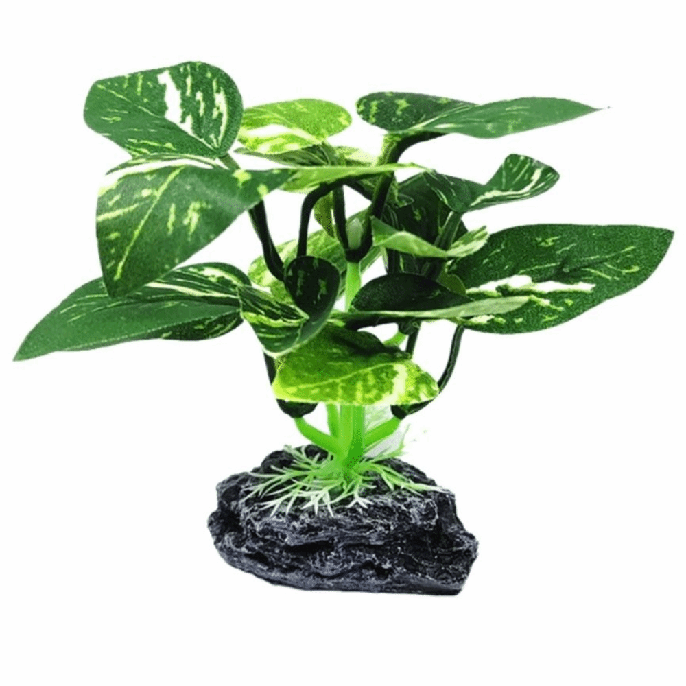 วัสดุพลาสติก ต้นไม้ประดับตู้ปล - Planted Aquarium Materials บทวิจารณ์และราคา