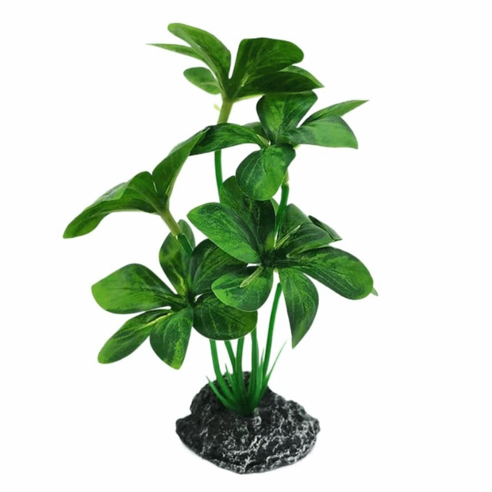 วัสดุพลาสติก ต้นไม้ประดับตู้ปล - Planted Aquarium Materials บทวิจารณ์และราคา
