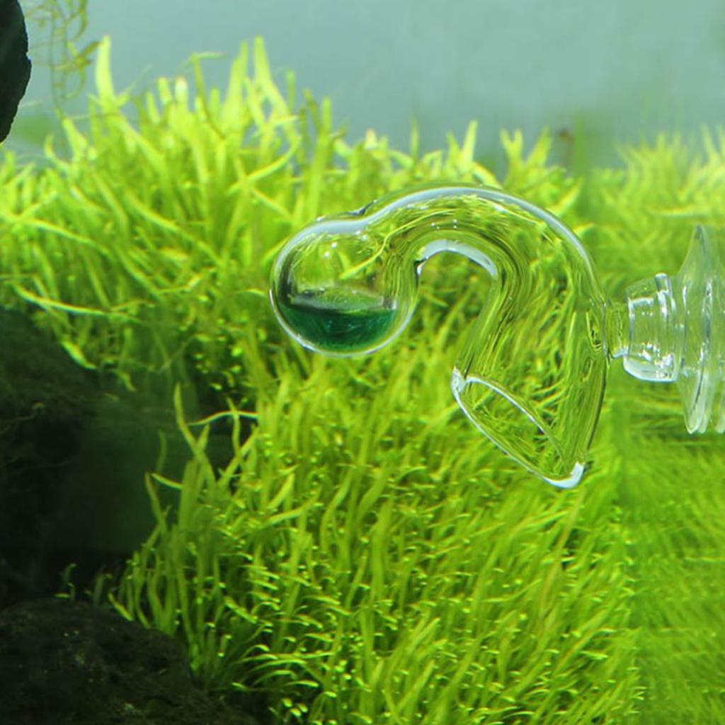 เครื่องวัดก๊าซคาร์บอนไดออกไซด์ - Glass Co2 Drop Checker บทวิจารณ์และราคา