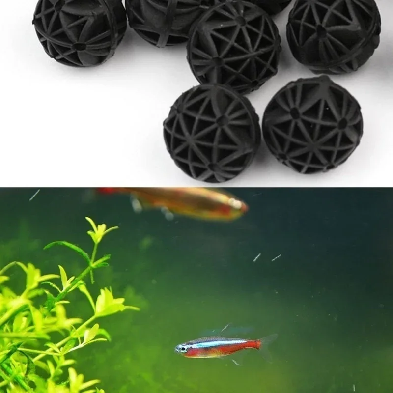 ไส้กรองชีวภาพสำหรับตู้ปลา ขนาด - Aquarium Planted Fish Tank บทวิจารณ์และราคา