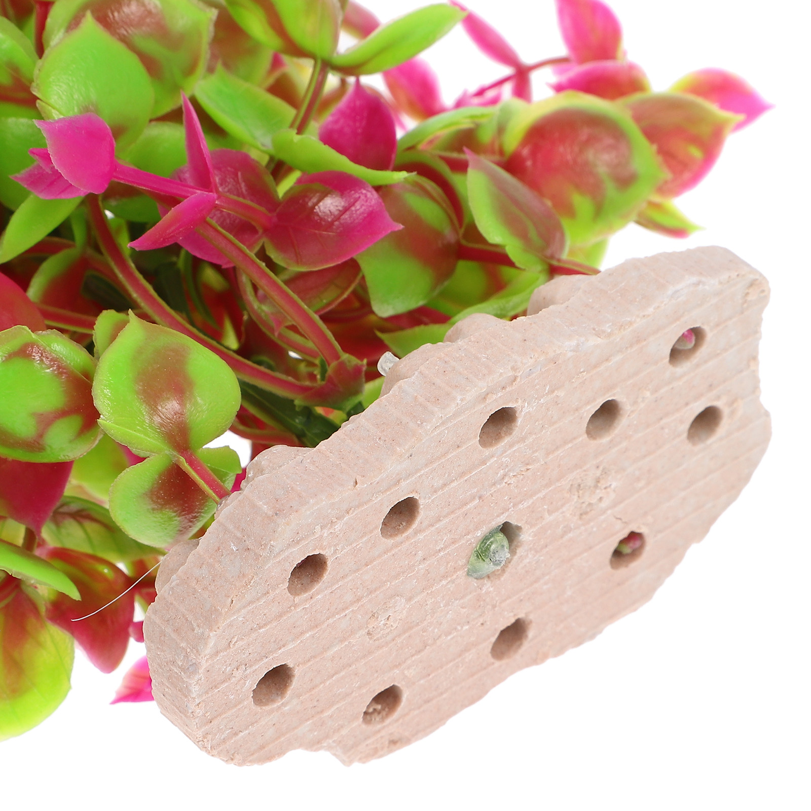 พืชน้ำเทียมสำหรับตกแต่งตู้ปลา  - Planted Aquarium Materials บทวิจารณ์และราคา