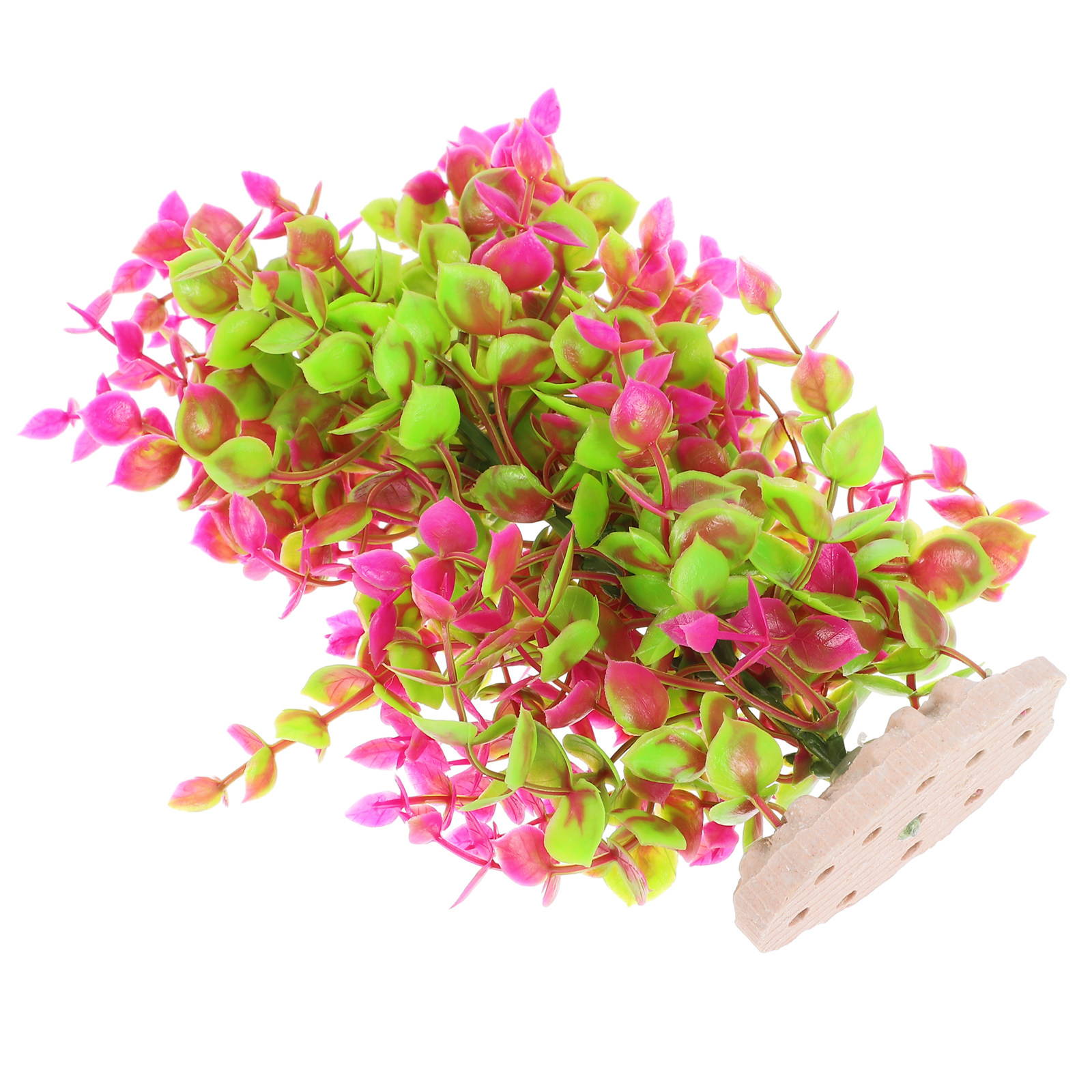 พืชน้ำเทียมสำหรับตกแต่งตู้ปลา  - Planted Aquarium Materials บทวิจารณ์และราคา