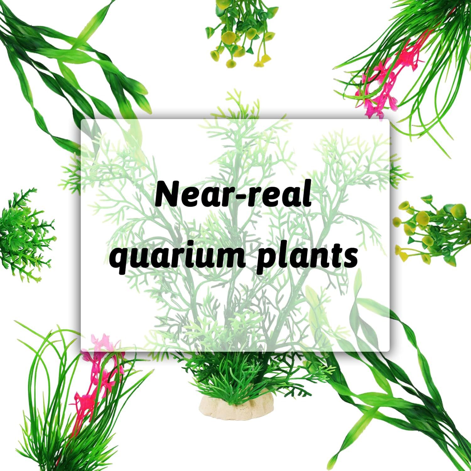 ชุดต้นไม้ประดิษฐ์สำหรับตู้ปลา  - Planted Aquarium For Beginners บทวิจารณ์และราคา